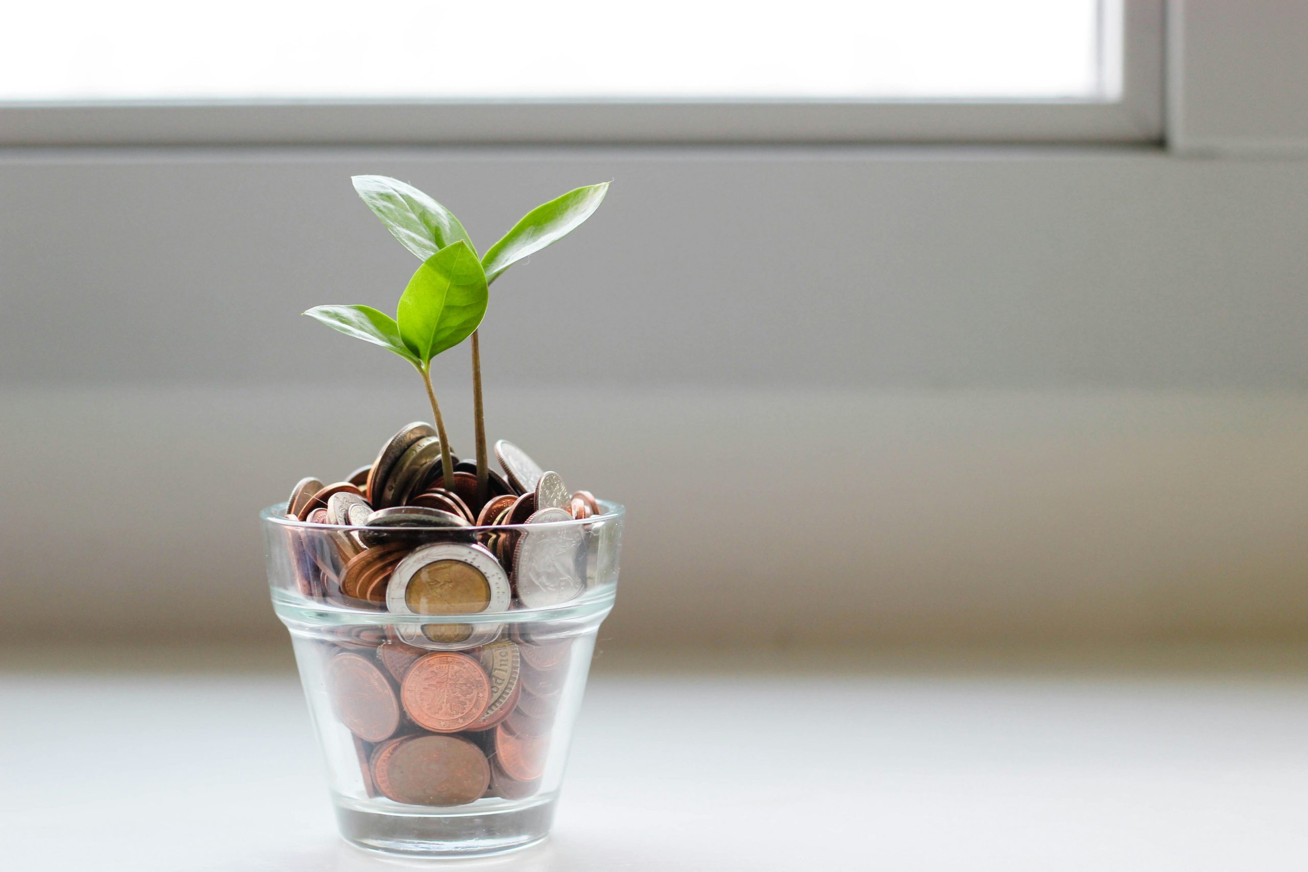 coins in a jar with a plant sprouting out
