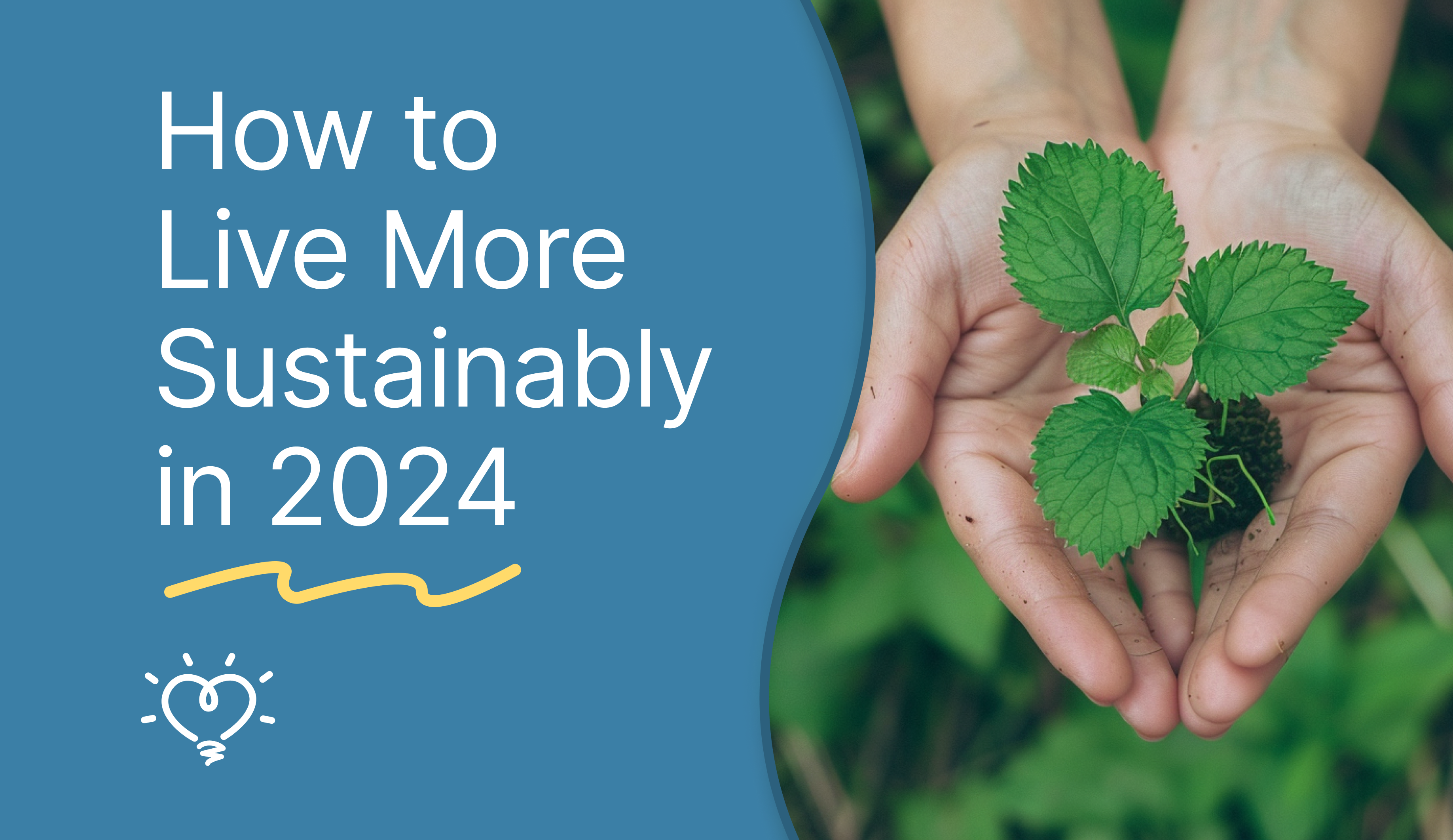 How to Live More Sustainably in 2024